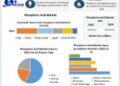Phosphoric Acid Market expected to reach USD 60.62 Billion by 2029 at a CAGR of 4.2 percent