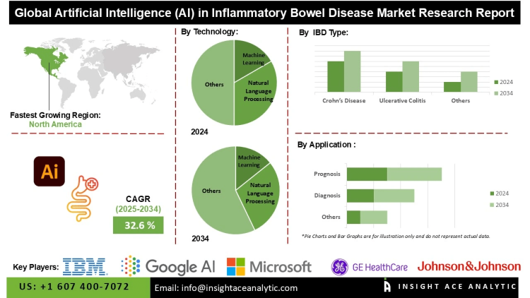 AI in Inflammatory Bowel Disease Market Development in North America Europe and Asia-Pacific Healthcare Sectors