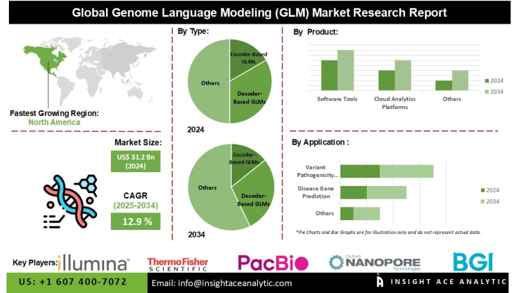 Genome Language Modeling (GLM) Market Growth Driven by Rising Demand for Precision Medicine Personalized Therapeutics and AI Powered Genomic Analysis