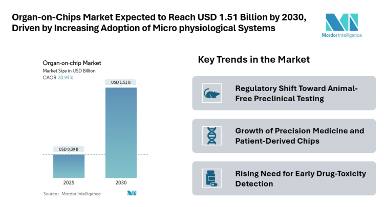 Organ-on-Chips Market Expected to Reach USD 1.51 Billion by 2030 Driven by Increasing Adoption of Microphysiological Systems