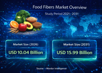 Food Fibers Market Size to Reach USD 15.99 Billion by 2031 | Key Trends and Growth Insights