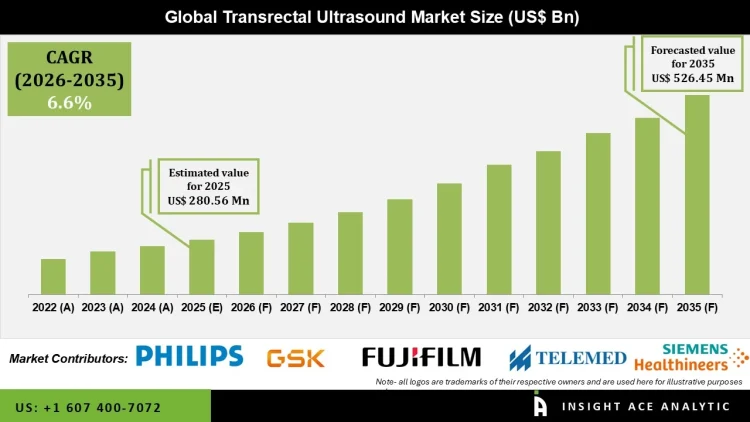 Transrectal Ultrasound Market Revenue Analysis and Growth Potential