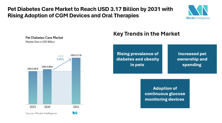 Pet Diabetes Care Market to Reach USD 3.17 Billion by 2031 with Rising Adoption of CGM Devices and Oral Therapies